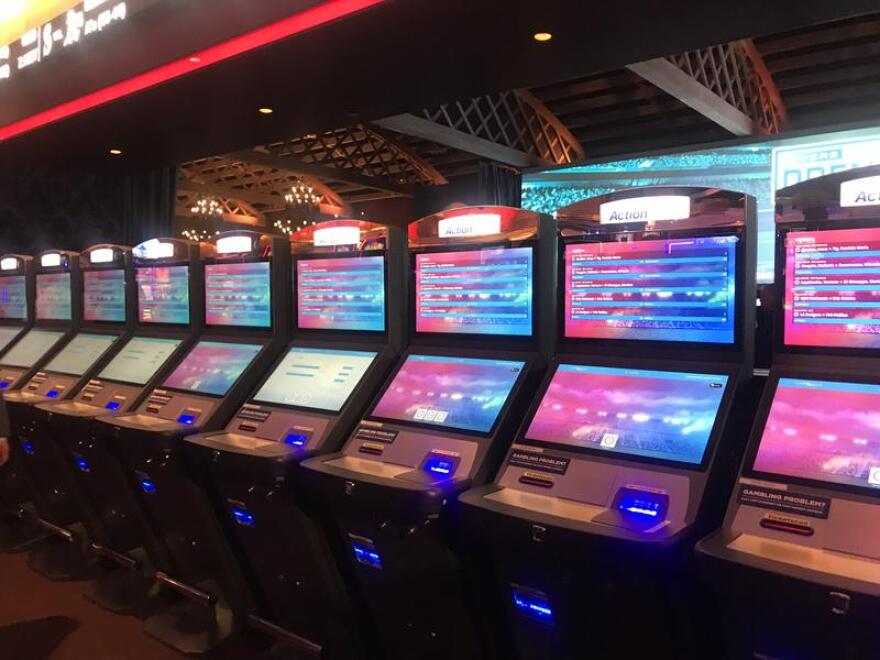 gambling sportsbook