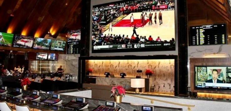 gambling sportsbook