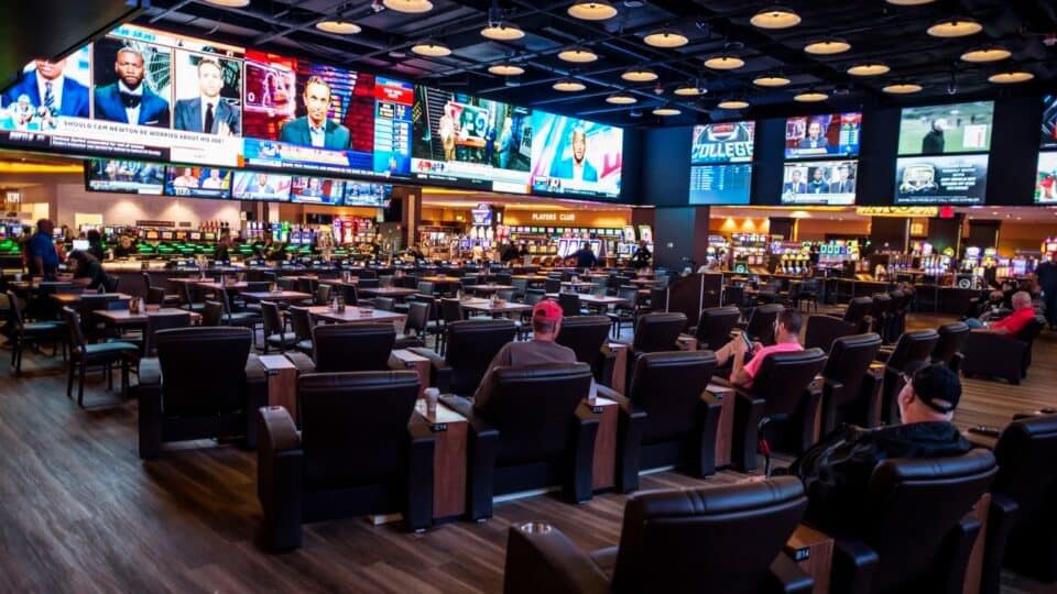 gambling sportsbook